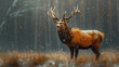 A reindeer, Capture the essence of wildlife in its purest form, amidst the elements of fog, rain, and snow.