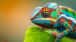 colorful chameleon perched on a green leaf