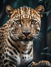 Vertical Portrait Of A Fierce Leopard Looking At Camera From Generative AI