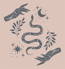 Wall Mural - Magical poster with woman hands, snake, stars. Boho illustration. Vector hand drawing