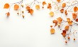 orange leaves and fruit on a white surface