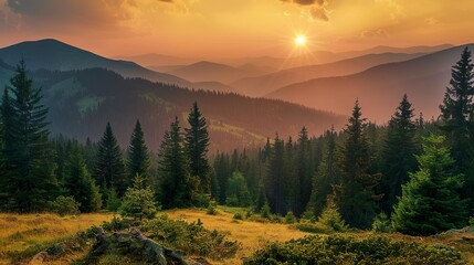 Sunset in the mountains with pine trees and coniferous forest