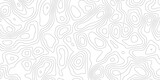 Fototapeta  - White geography scheme map background.topographic contours curved lines,land vector.clean modern map of terrain path soft lines topography vector.topography.
