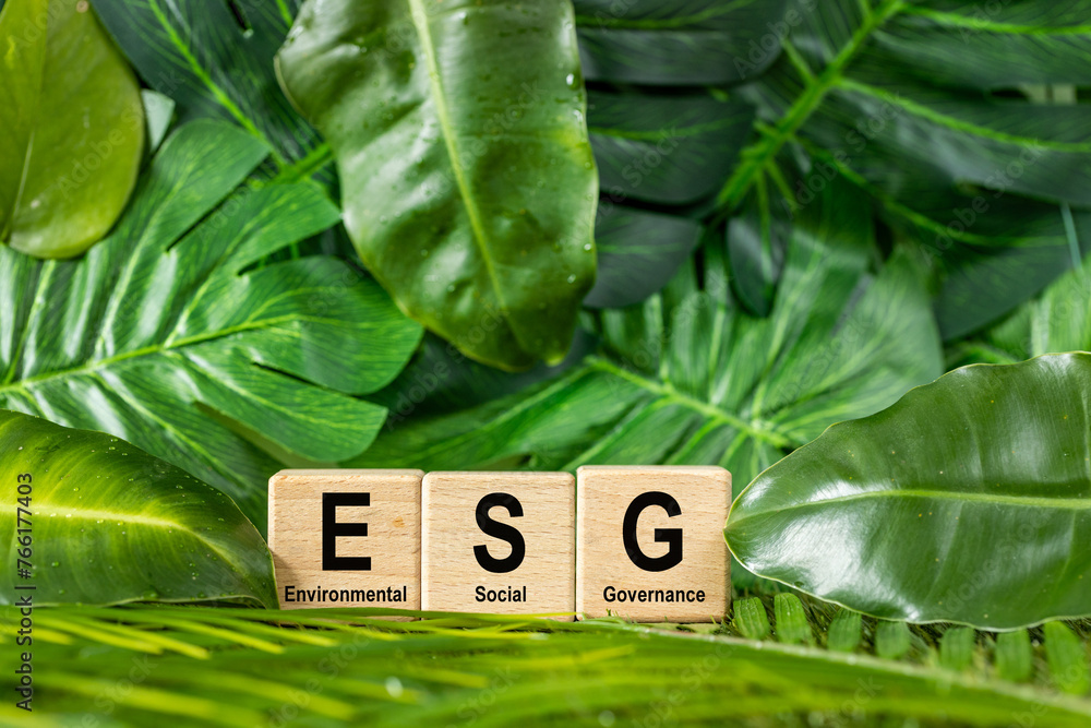 Wooden cube with text "ESG" background beautiful natural greenery of the rainforest. ESG concept of  environmental, social and governance. Sustainable and ethical business. World environment day