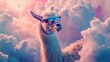 an llama in the clouds with sunglasses
