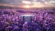  a suitcase sitting in the middle of a field of lavender flowers with the sun peeking through the clouds in the background.