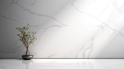 Wall Mural - Stone table product display podium with bonsai, eucalyptus, nature leaves and branch on white wall marble granite background. interior room studio design.