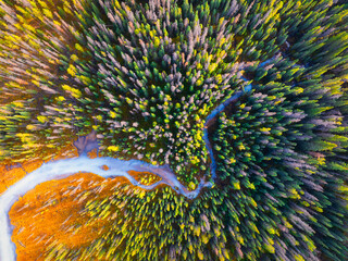 Wall Mural - a drone view of the river in the woods. an aerial view of the forest. winding river among the trees.