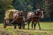 Team of horses pulling a hay wagon. Anyone up for a hay ride on the farm?
