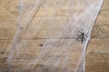 Wall Mural - Cobweb and spider on wooden surface, top view