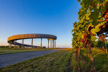 Poster - Trail above the vineyards lookout point, Kobyli vrch, Kobyli, Southern Moravia, Czech Republic