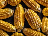 close up of corn