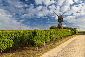 Sticker - Windmill of La Tranchee and vineyard near Montsoreau, Pays de la Loire, France