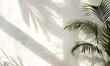 a palm tree leaves and shadows on a white wall, Generative AI