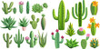  Desert spiny plant, mexico cacti flower and tropical home plants or arizona summer climate garden cactuses and succulent