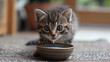 The kitten drinks milk from a bowl.