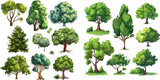 Fototapeta Natura - Nature forest and park green trees vector illustration set