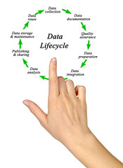 Wall Mural - Nine Components of Data Lifecycle