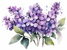 Watercolor Hydrangea Clipart With Clusters Of Blue, Purple, And Pink Flowers