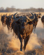 Herd of buffalo kicking up dust as they approach a waterhole a powerful display of their presence Photo style National Geographic
