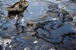 Detailed view of an oil spill being carefully cleaned up, showcasing efforts to minimize environmental damage