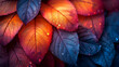 Leaves with a rich red color and subtle blue tints, glistening with morning dew drops