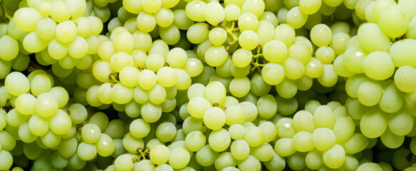 Wall Mural - Fresh white or green grapes fruit, with water drops over it, closeup macro detail. Generative AI