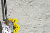 Fototapeta  - Spaten an einer Hauswand mit Frühlingsblumen #050324.05.3B