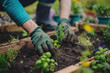 DIY Garden Projects: man building a raised garden bed planting herbs in pots, getting their hands dirty in the soil and enjoying the satisfaction of creating something new.