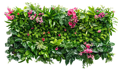 Wall Mural - Green garden wall from tropical plants and flowers, cut out