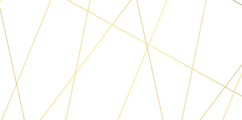 Abstract orange diagonal lines and luxury elegant pattern background .random chaotic line and creative geometric shape background .modern technology premium line on transparent background .