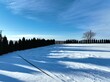 Zima z lotu ptaka, krajobraz zimowy na wsi, Śnieg mróz i słońce w zimie 