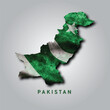 Pakistan map land illustration art