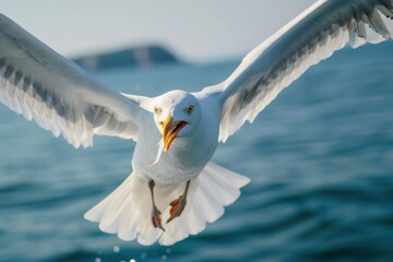 Close up A seagull with a fish in its mouth flies directly over the sea waters