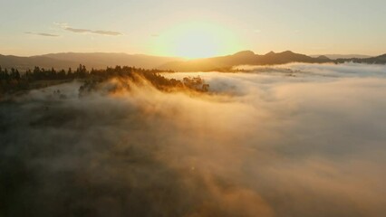 Wall Mural - Beautiful mountain landscape at sunrise on a foggy morning