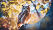 A cute owl sits on a tree branch in a magical forest. The sun's rays break through the dense foliage of the forest. Empty space for your text. Generative AI