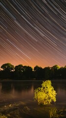 Wall Mural - Timelapse Night Sky Above River. Star Trails On Night Sky Background. Star Lines Move In Sky. Night Sky Turns Into Morning. Amazing Starry Effects. From Dusk To Dawn. Dawn Is Coming. Time Lapse Time