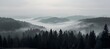 fog over the mountains,fog in the mountains, clouds above the forest, the effect of fog on enviornent, effects of fog on weather change, landscape of fog, fogs in the forest, fog in the air