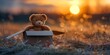 Teddy bear by an empty box at golden hour, representing hope in transition
