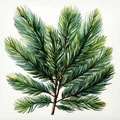 Poster - Vibrant Green Pine Branches