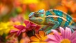 A vividly colored chameleon perched on a bright daisy