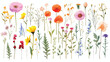 Watercolor Wild Flowers Flat vector isolated on white