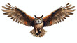 A bird of prey from the Accipitrid family the owl 
