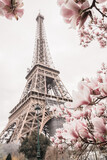 Fototapeta Miasta - Eiffel tower. Blooming magnolia tree