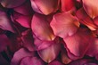 Detailed view of pink flower petals, perfect for nature concepts
