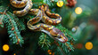 Christmas tree branch with snake like a garland, symbol of 2025 new year, calendar front page or horizontal greeting card template.