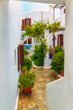 Beautiful patio in traditional Greek style, whitewashed walls and lush