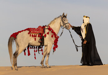 Wall Mural - Saudi Man with his white stallion in a desert