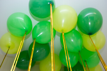 Wall Mural - green helium balloons on the ceiling