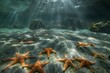 Starfish adorning the enchanting ocean floor in a serene underwater landscape with vibrant sunlight rays